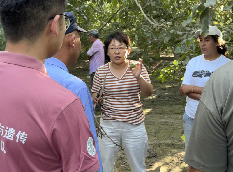 �x�ܹ��r(n��ng)�������a(ch��n)�I(y��)����