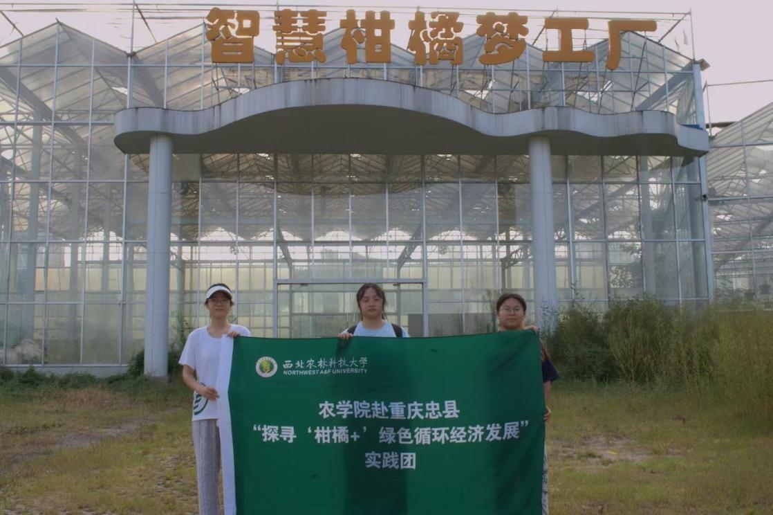 �����r(n��ng)�ֿƼ���W(xu��):�{(di��o)�С�����+���a(ch��n)�I(y��) �����l(xi��ng)�����d�l(f��)չ​