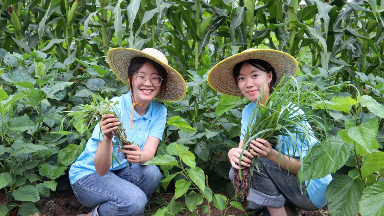 �ഺ�x���Q�������`�������d �����ؑc������W�����c����WԺ�����㽛Ը���l(xi��ng)�����d־Ը���ՈF����