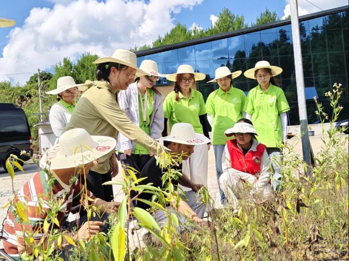 �ژI(y��)���g���W�x�����`���е����¡���ɽ�n�ӿƼ�СԺ���`����ϡ������l(xi��ng)���o(j��)��