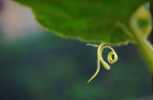 ��ӿƼ���W(xu��)�����ƌW(xu��)�c���g(sh��)�W(xu��)Ժ�e�k�� (t��ng)��Ȼ����-�����ɻ��(d��ng)��֮�����ɡ���ƪ������Ȼ��ɺ��X������(l��)��(chu��ng)����Ʒ�������(d��ng)