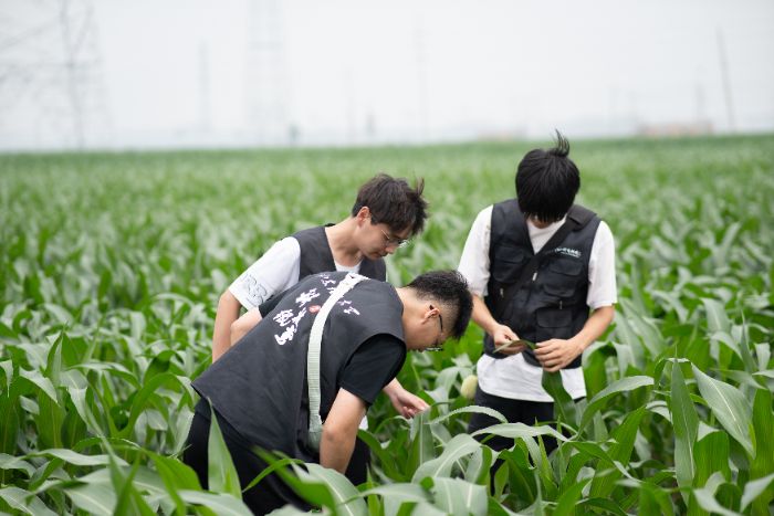 �Ƽ����S��(sh��)�`�F(tu��n)�(du��)�_չ��(du��)�r(n��ng)����Nֲ��r�ͻ��A(ch��)�O(sh��)ʩ�ğo�˙C(j��)�D��ɼ�����