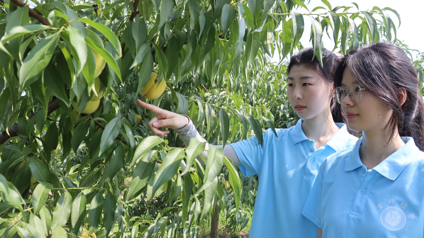 ���ƹ���㑳��ģ�֪�к�һ��δ��(l��i) �����ؑc������W(xu��)��(j��ng)��(j��)�c����W(xu��)Ժ�ѹ�Ӣ־Ը����(w��)�(du��)�~�����(du��)��(ji��n)��(b��o)