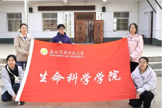 �������������Ļ����O(sh��)