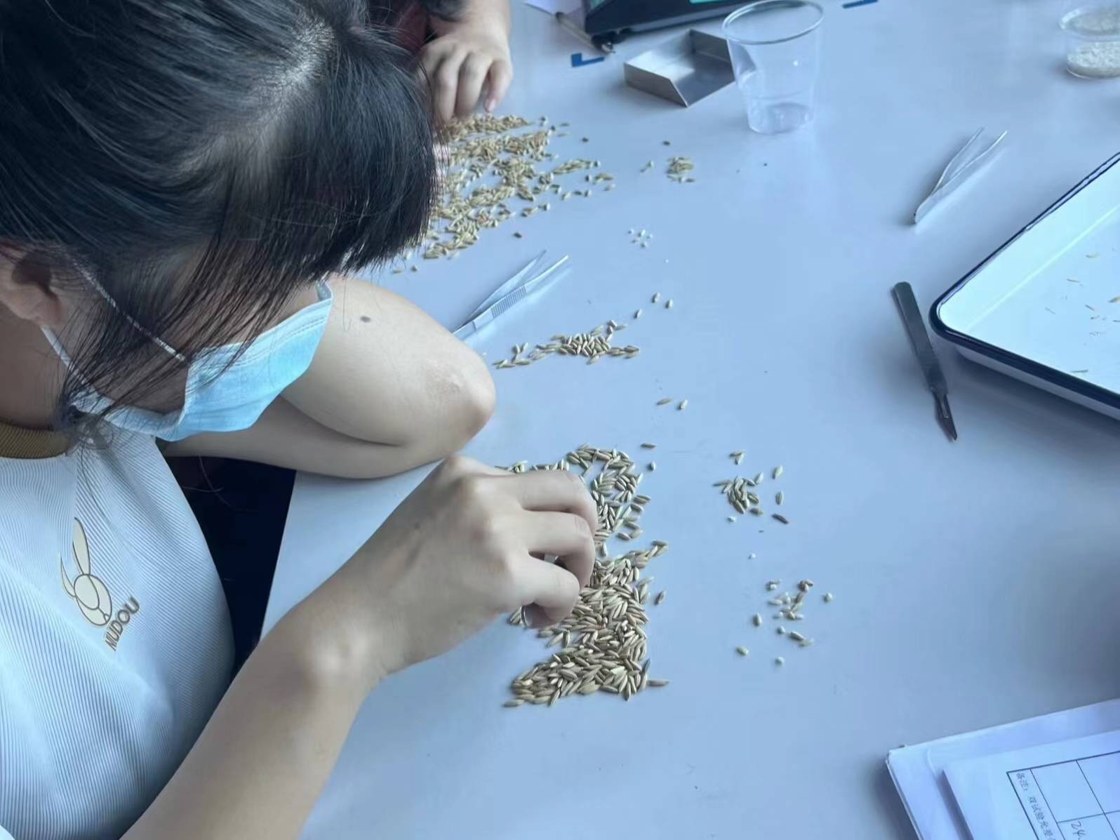 �Ѓ��Z��(sh��)��(x��)�w�(y��n)���W(xu��)���������������ҼZʳ��ȫ