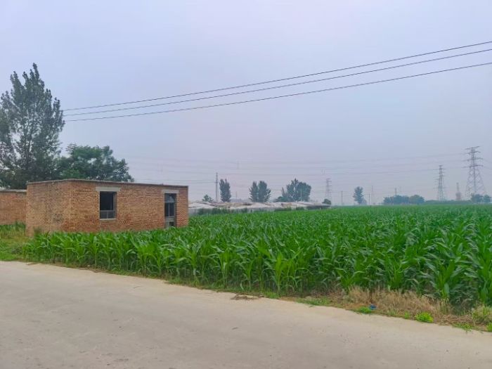 �Ƽ����S���`�F��ʢ�ʹ��_չ����Ѳ�z�{(di��o)�У��Ƽ��������N�P��