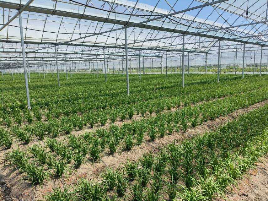 �������ϡ��Y(ji��)����(sh��)��(j��)���ˈ@����L(zh��ng)���ǻ�