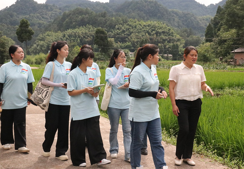 �����^��壬��̽���d·