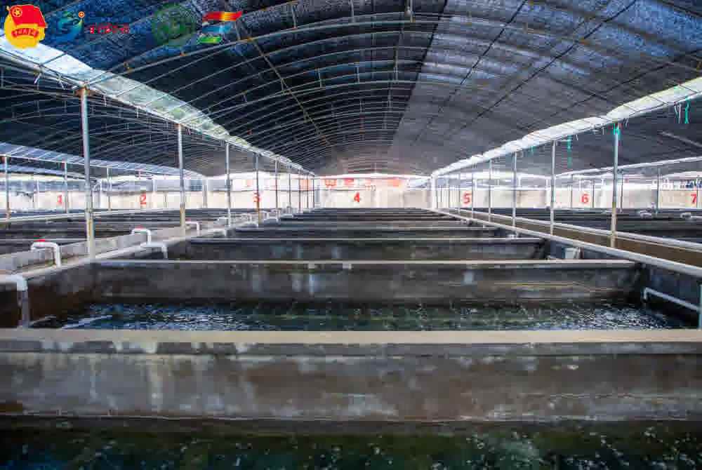 �����l(xi��ng)Ϫ���`�̽�L�U�~�B(y��ng)ֳ�����˽��Ϫ�ĝO�I(y��)�l(f��)չ�F��