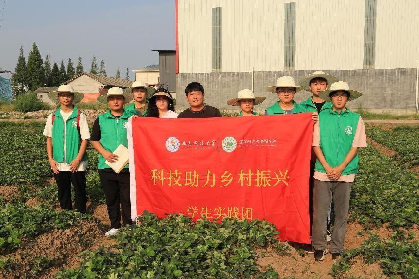 �Ƽ��x�������Ǽ�l(xi��ng)|��ݮ������،��`�{(di��o)��