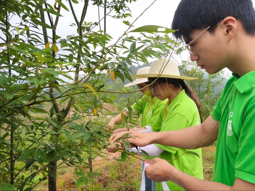 �D3  ���`꠆T��ժɽ�n���~ ����褔z