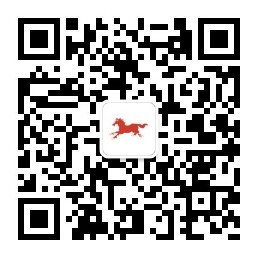 ����н�������ǹ⡱