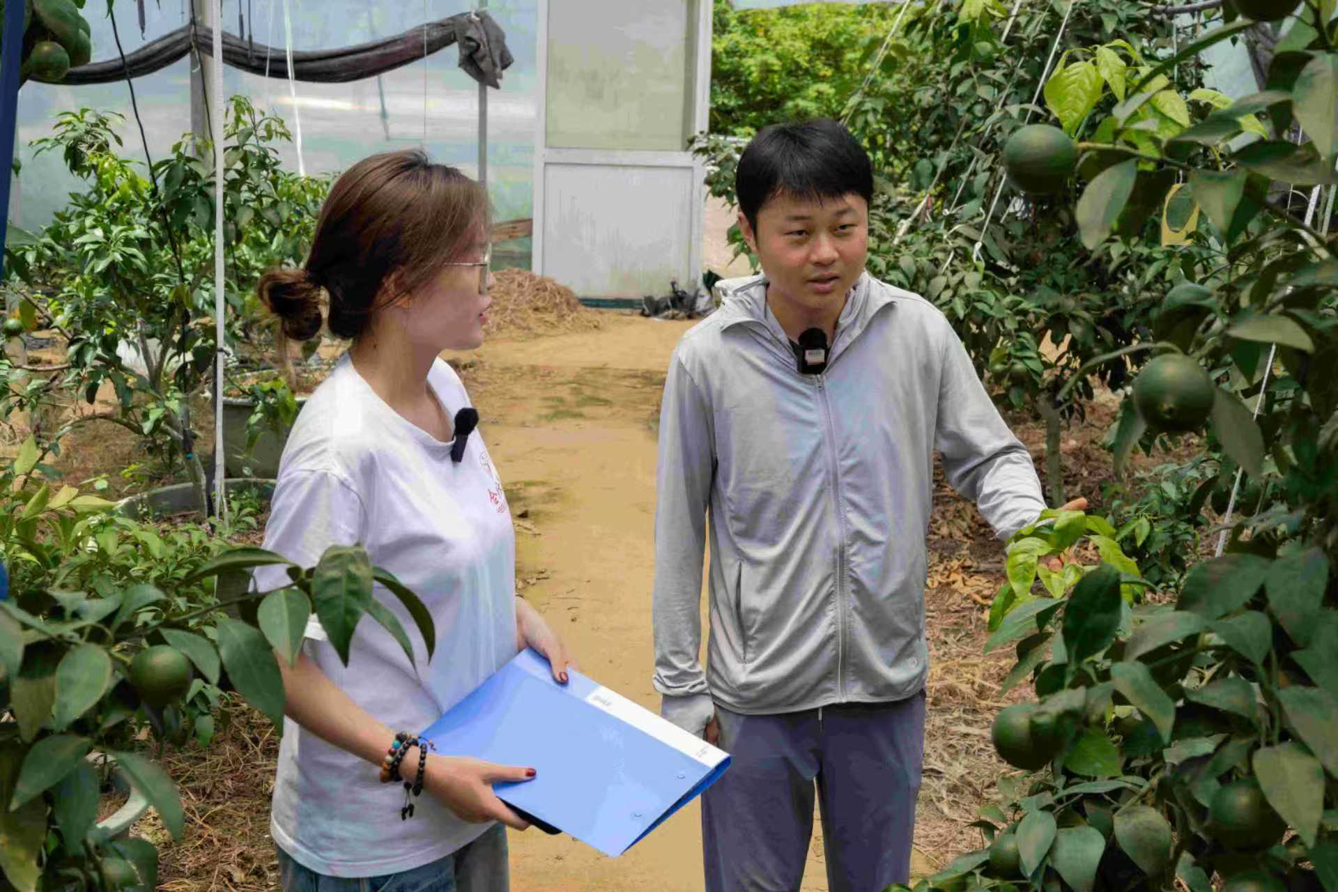 �Ϸʴ�W(xu��)��ұ�����࡯�L(f��ng)���������񡯮�(d��ng)�r����(sh��)�`�F(tu��n)�(du��)�x���l(xi��ng)�����d�����ഺ�ǻ�����ұ��ɽ�(zh��n)��ɫ�a(ch��n)�I(y��)�l(f��)չ