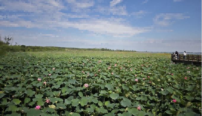 �Ϸʴ�W(xu��)�O(sh��)Ӌ(j��)�W(xu��)Ժ�����z�������r(n��ng)��(m��ng)��ϵ�Ј�(b��o)�����ģ�